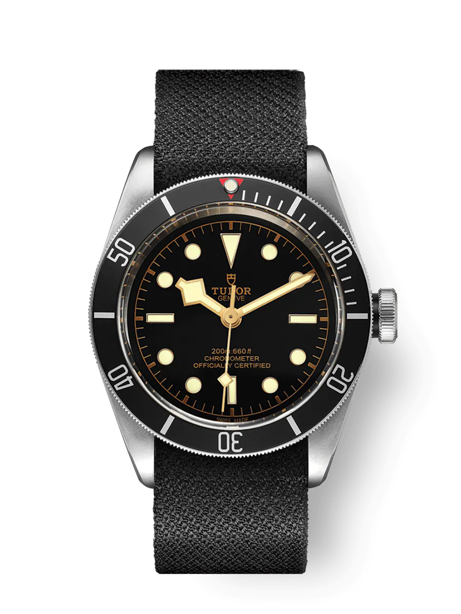 Tudor Black Bay