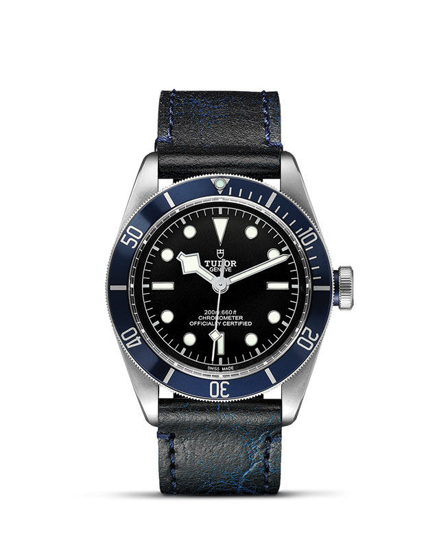 Tudor Black Bay