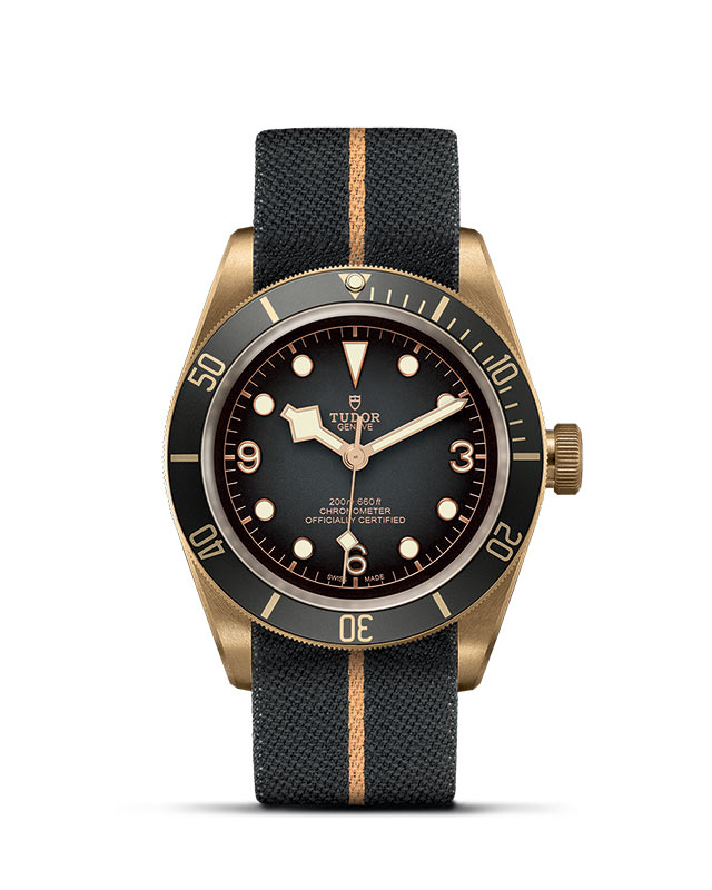 Tudor Black Bay Bronze