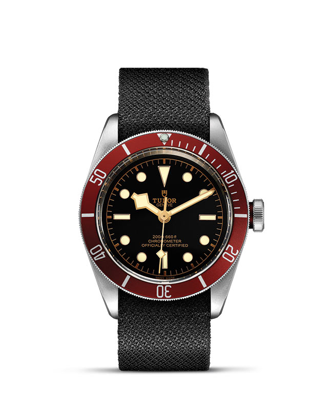 Tudor Black Bay