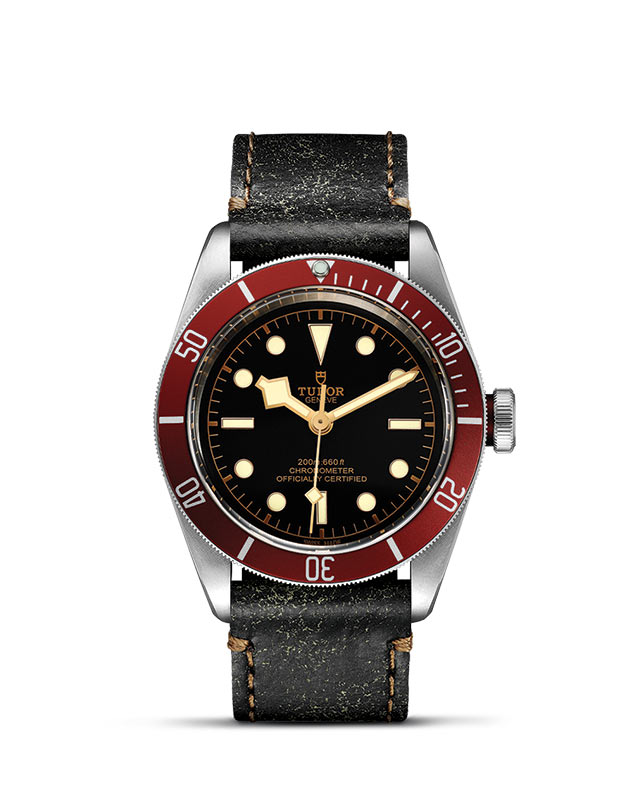 Tudor Black Bay